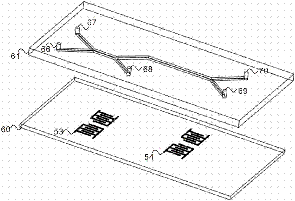 Microfluidic chip system for screening rare cells