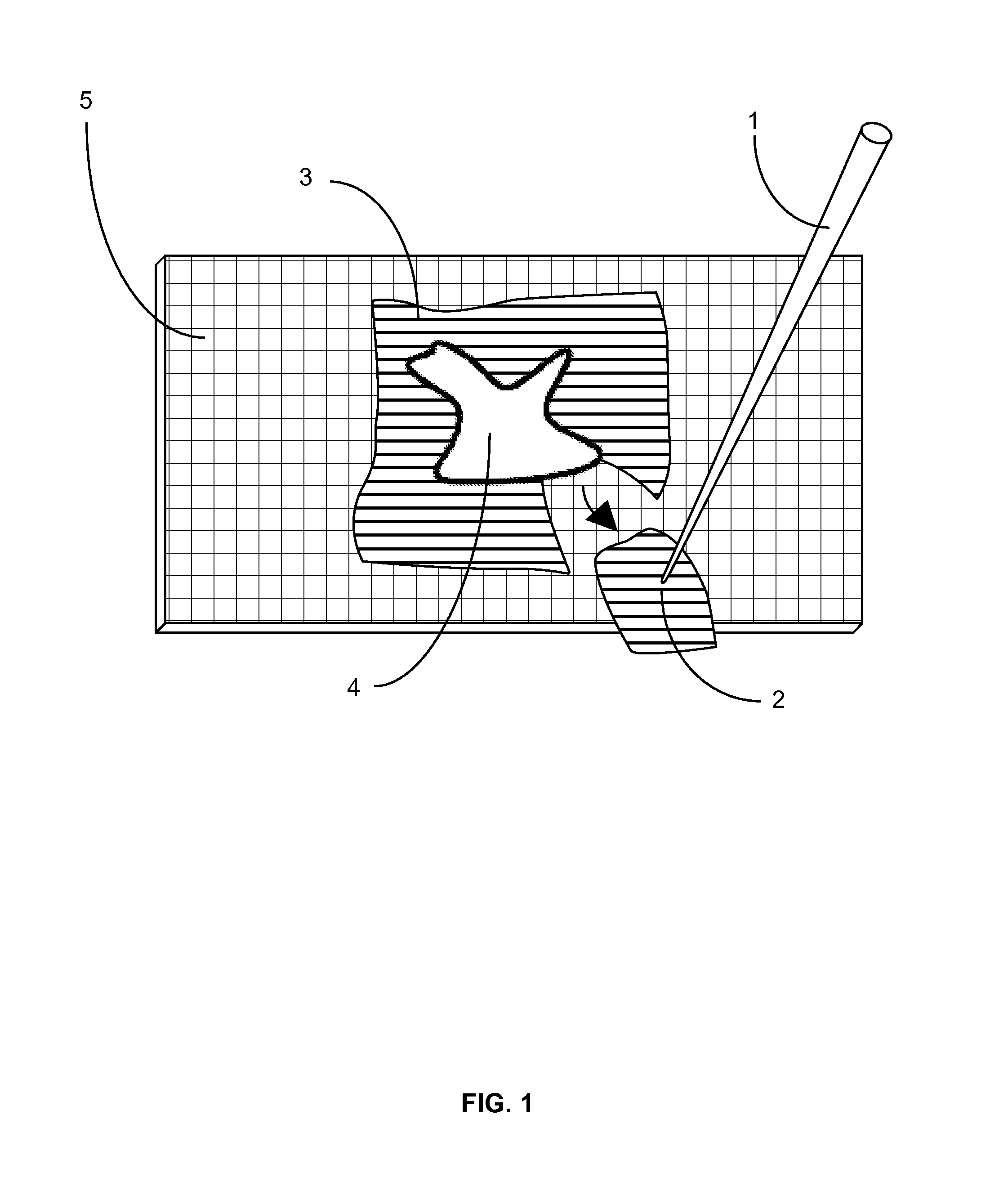 Apparatus and method for affixing frozen tissue sections to glass or membrane microscope slides