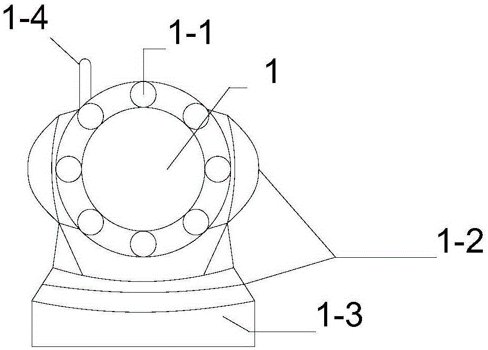 Bridge support deformation disease detection system