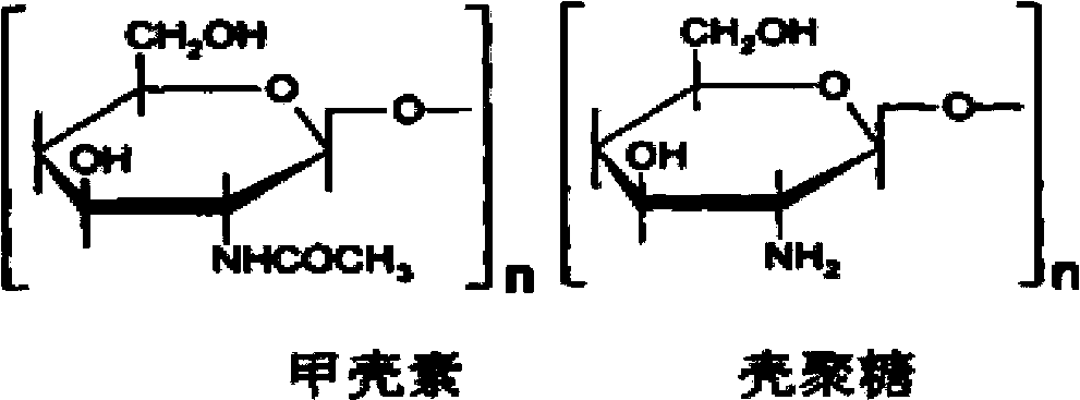 Device and method for preparing low molecular weight water-soluble chitosan through synergy of pulsed electric field and ozone