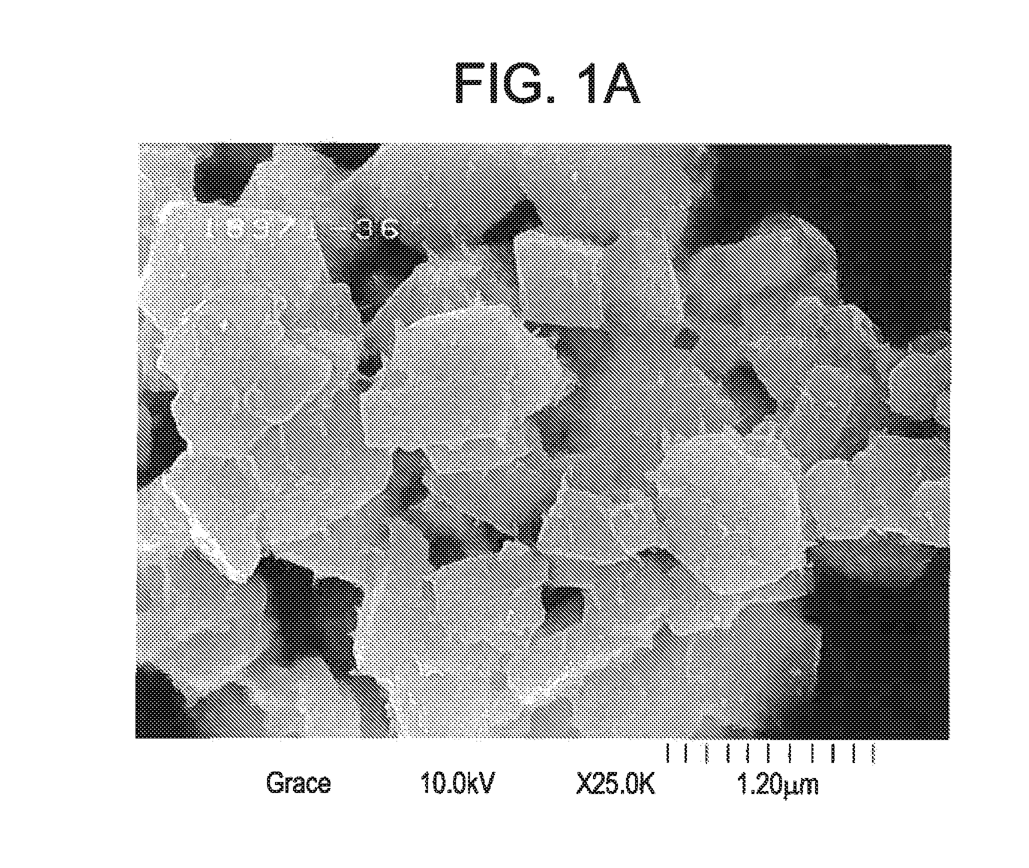 Novel ultra stable zeolite y and method for manufacturing the same