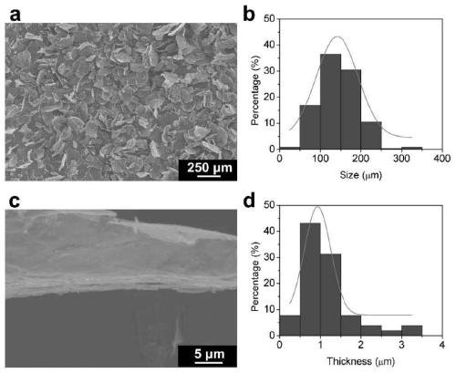 A kind of graphite foil with high strength, high conductivity and bending resistance and preparation method thereof