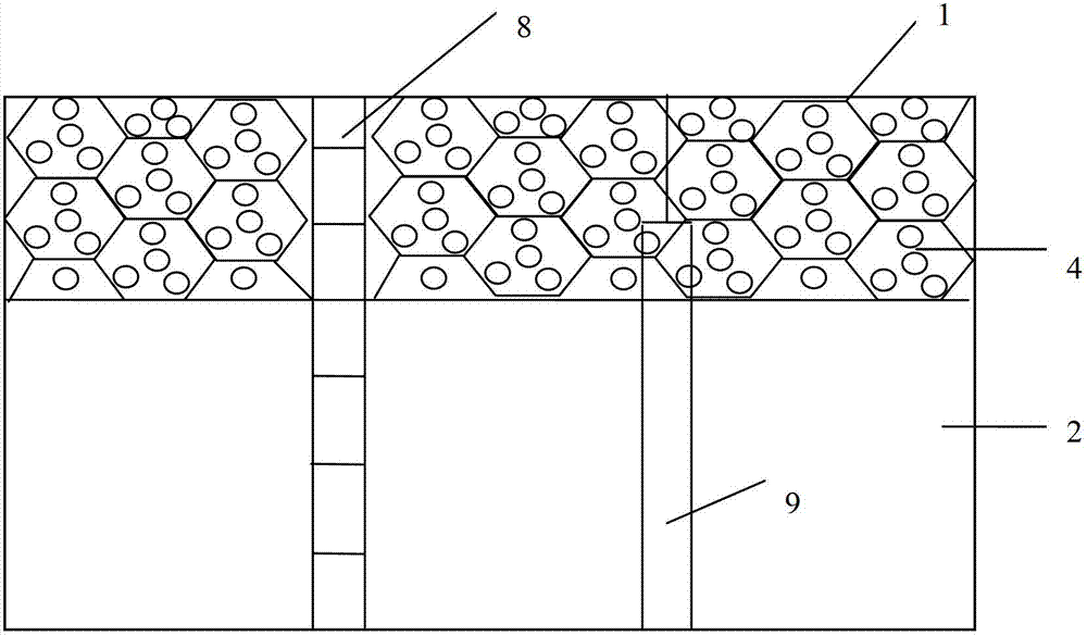 Ecological ditch for increasing utilization rates of N and P in farmland by controlling agricultural non-point source pollution