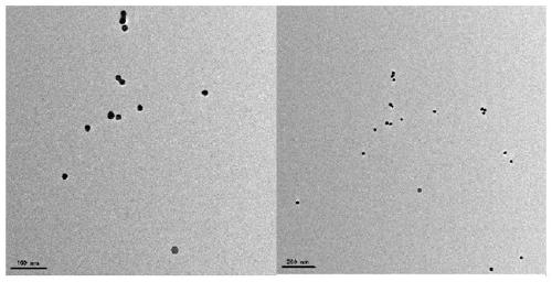 Preparation method and application of tumor-targeted nano-artificial antibody