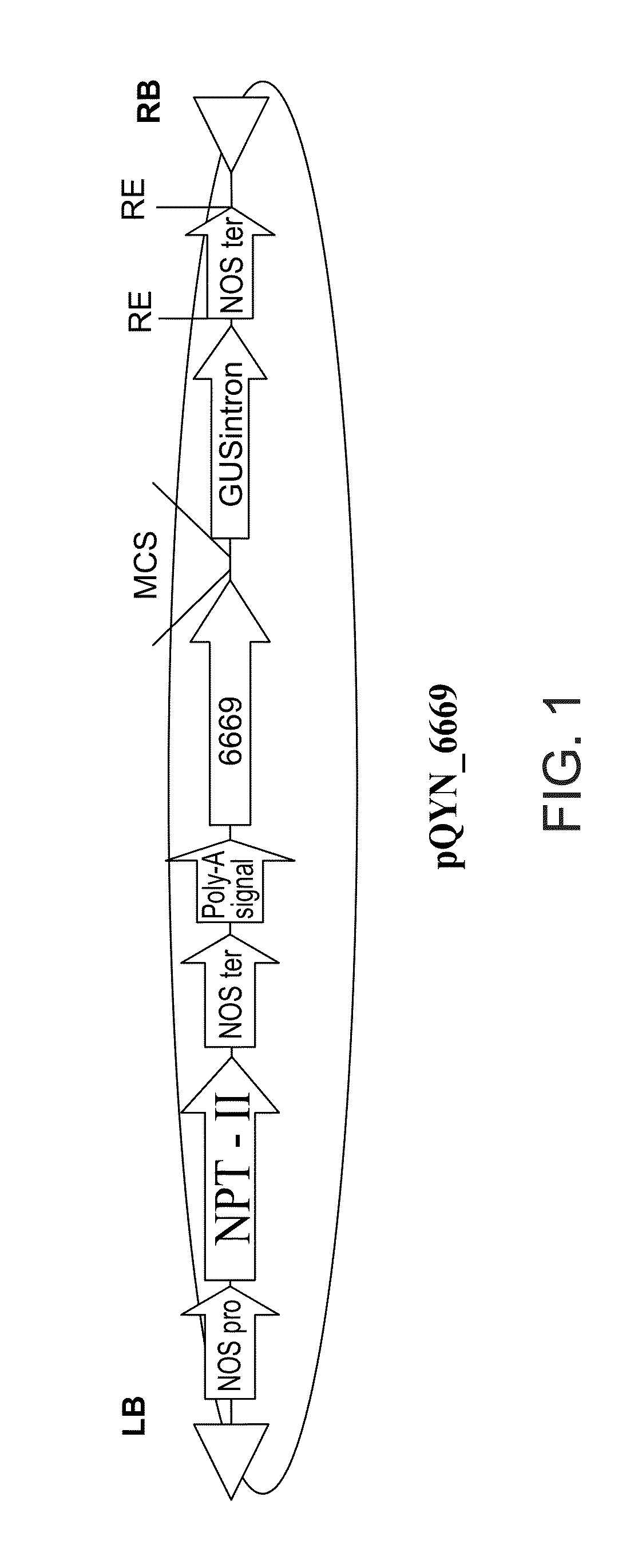 Isolated polynucleotides and polypeptides, and methods of using same for improving plant properties