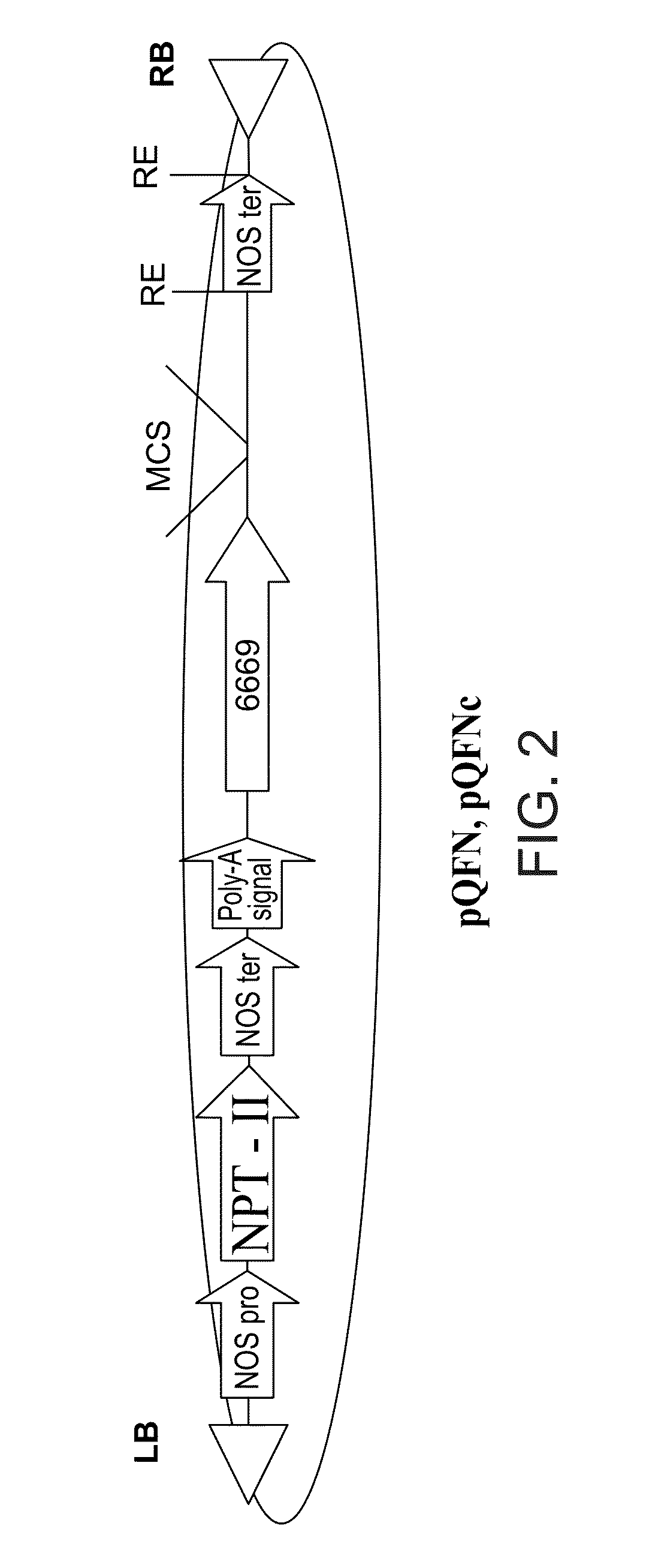 Isolated polynucleotides and polypeptides, and methods of using same for improving plant properties