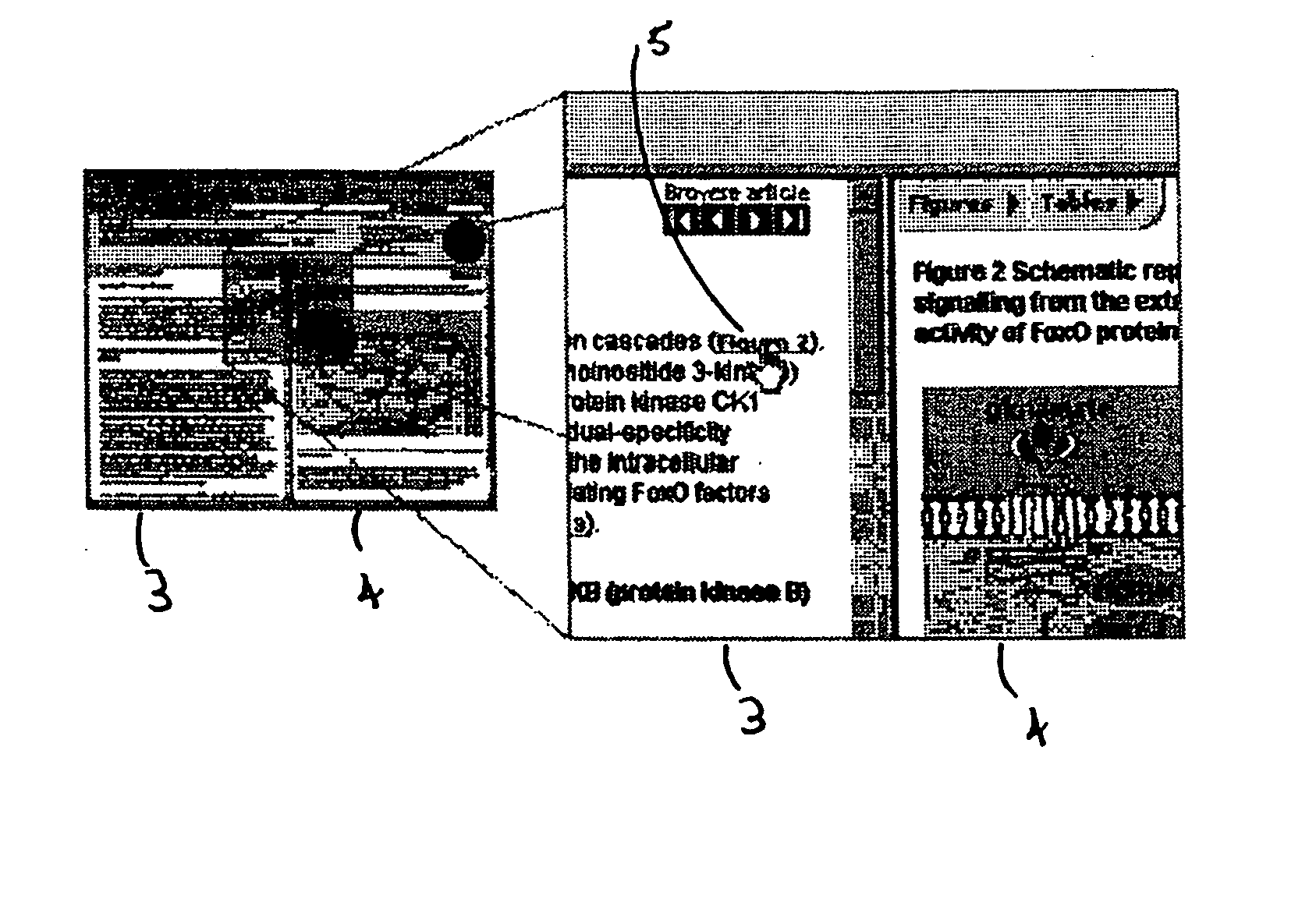 Document display system