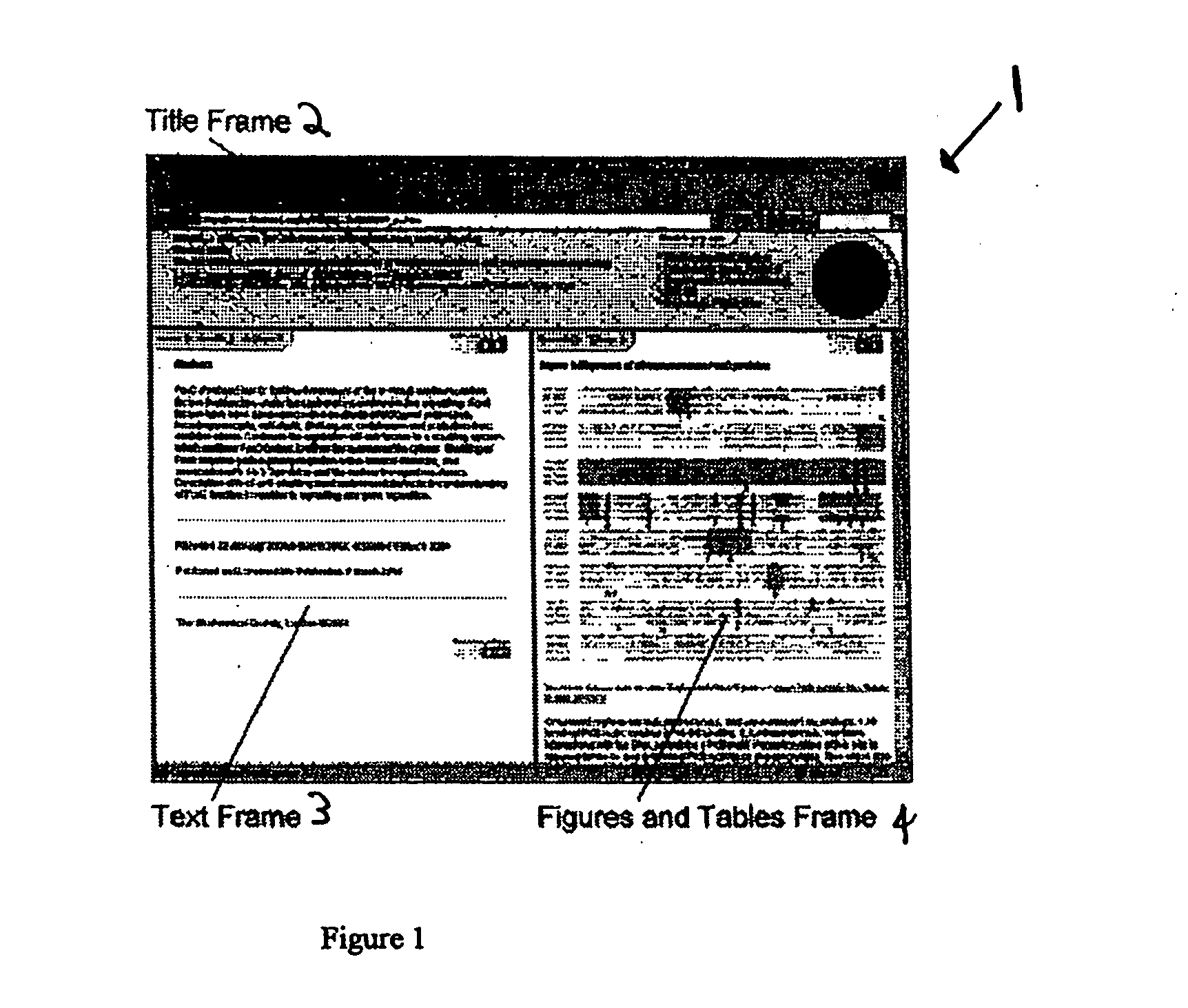 Document display system