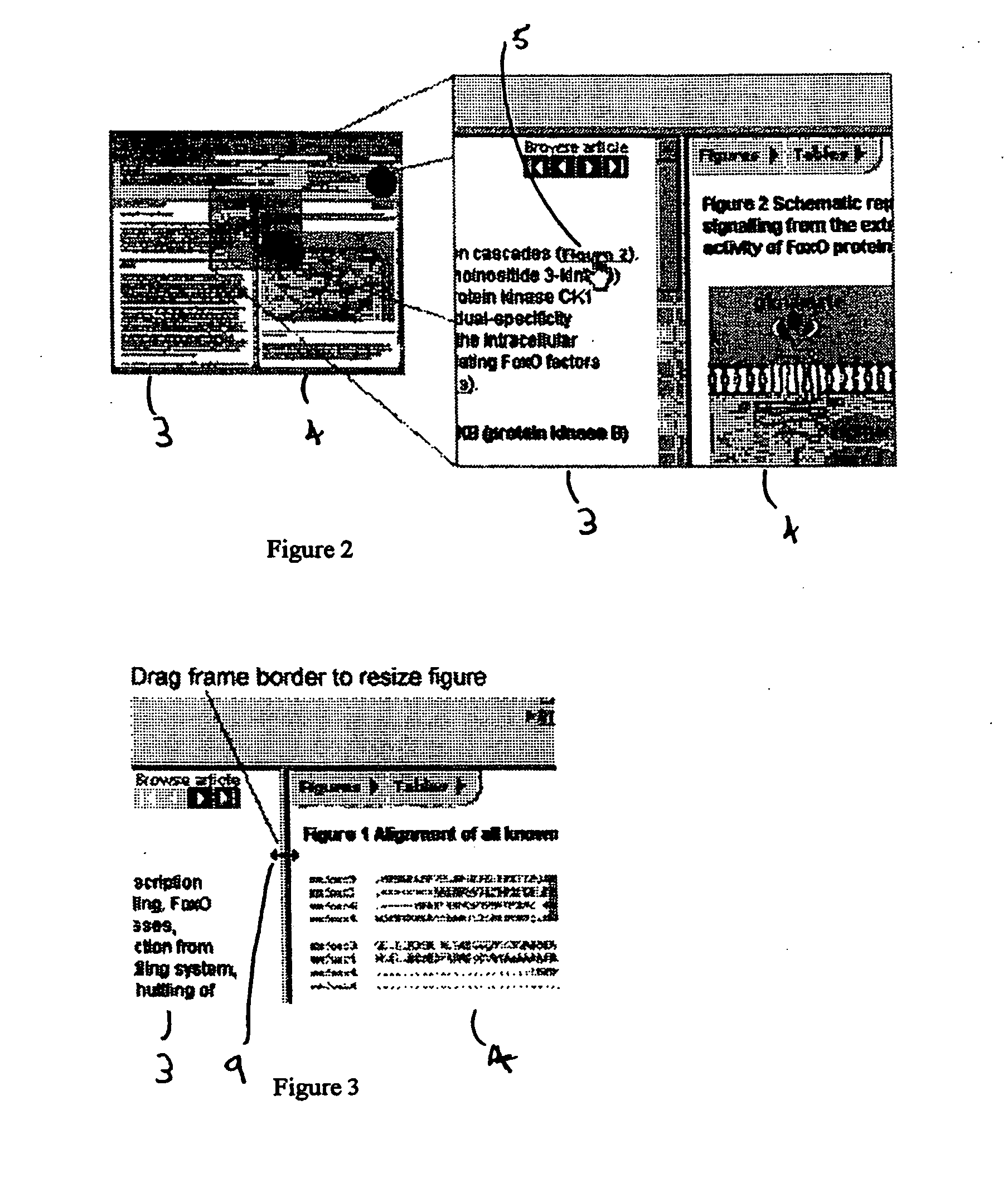 Document display system