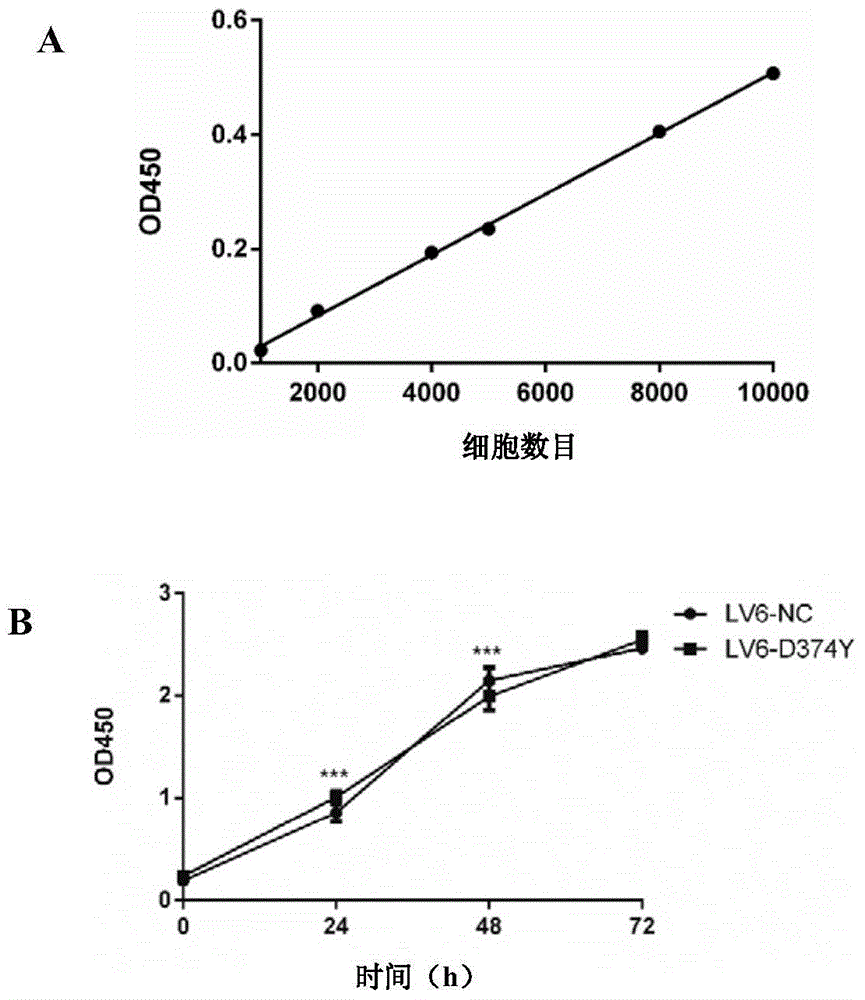 Application of D374Y mutant of PCSK9 protein in hepatoma cell migration restraining