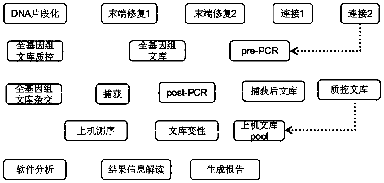 Probe composition, gene capture chip, kit and application thereof