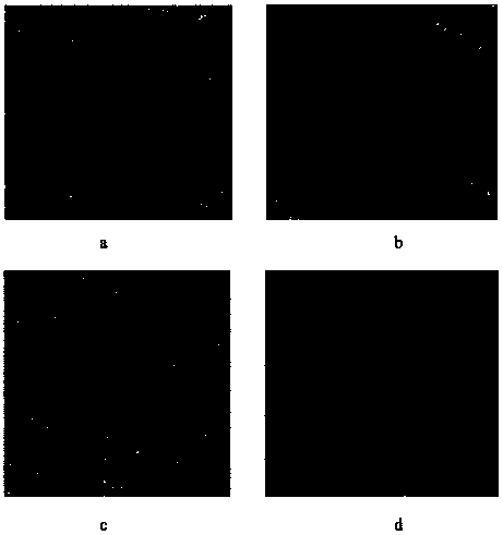 Eye gel and preparation method thereof