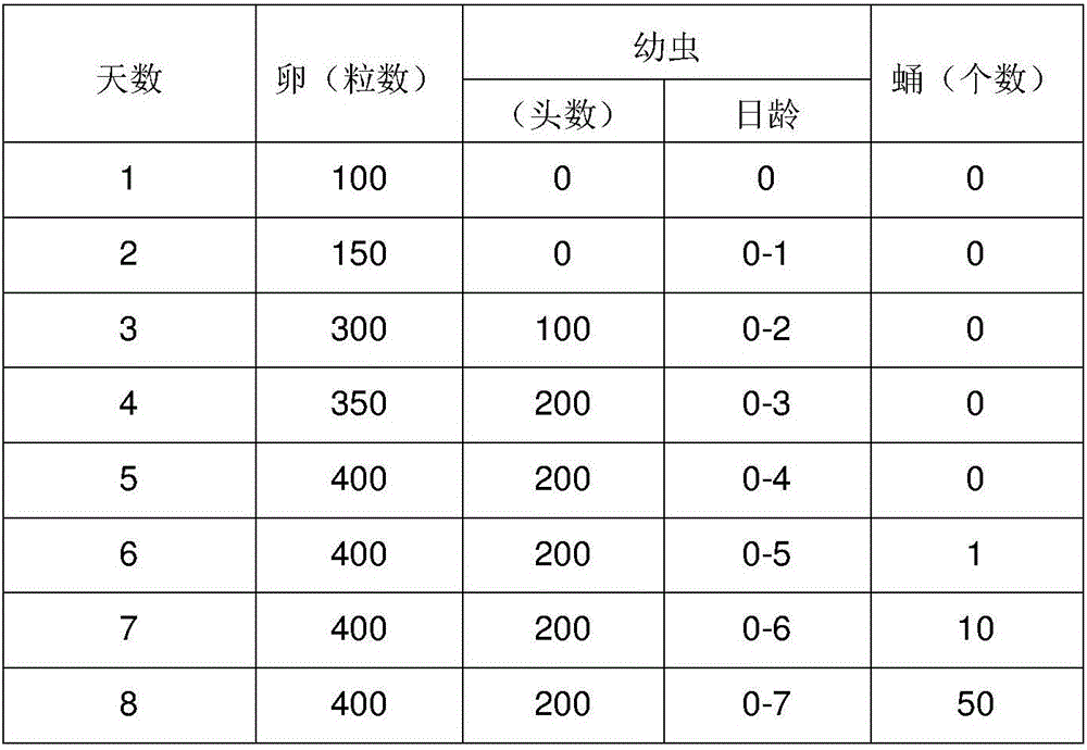 Indoor breeding method for drosophila-suzukii-matsumura advantageous parasitic wasps trichopria drosophilae