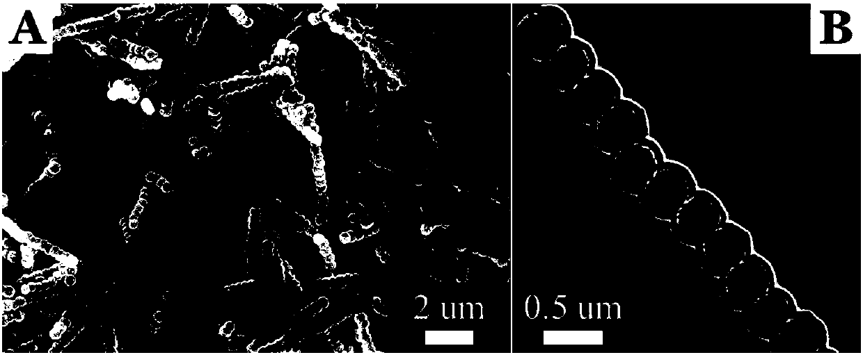 Bell-shaped Fe3O4@void@SiO2 nano-chain and preparation method