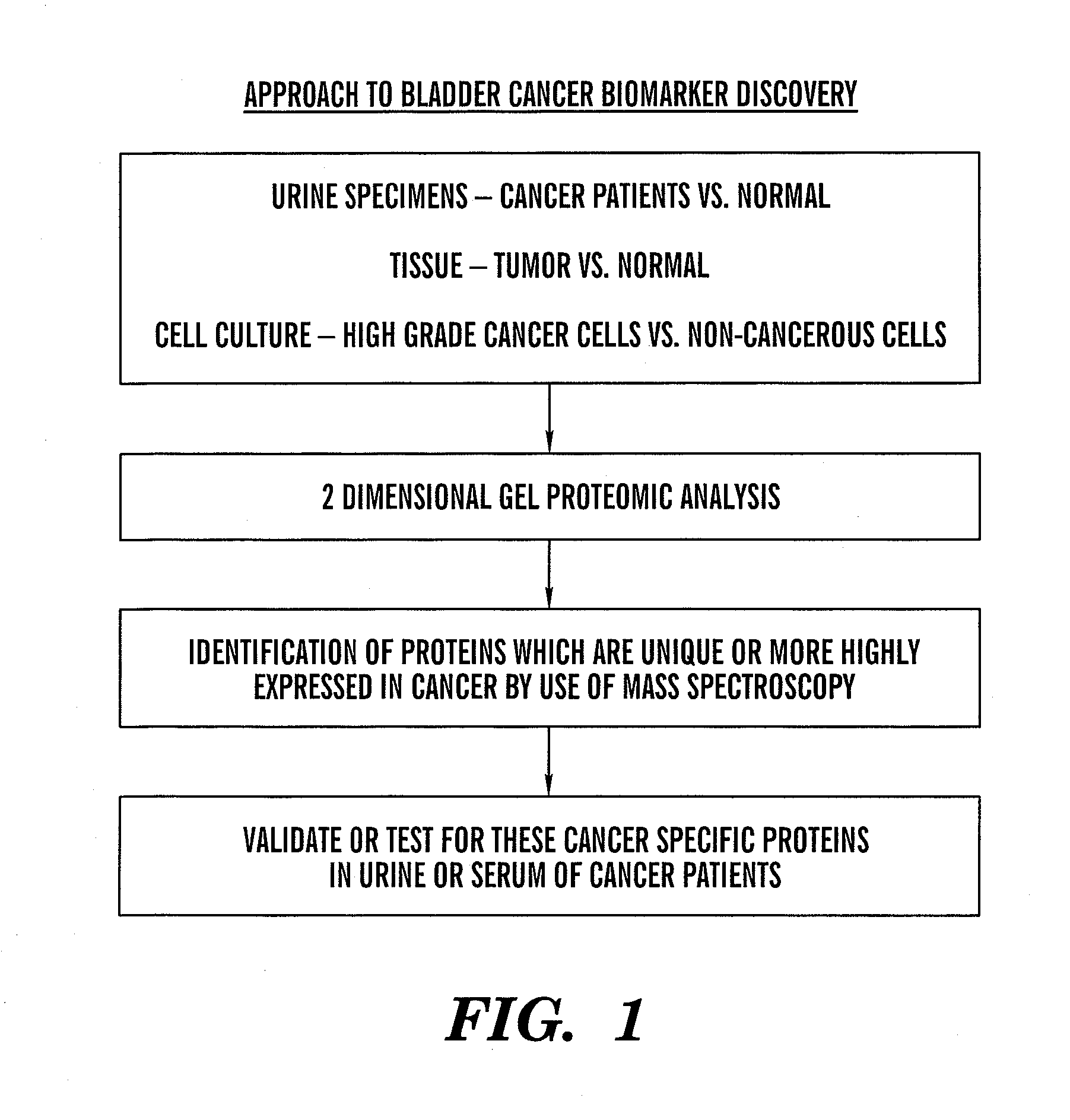 Methods for diagnosis and prognosis of epithelial cancers