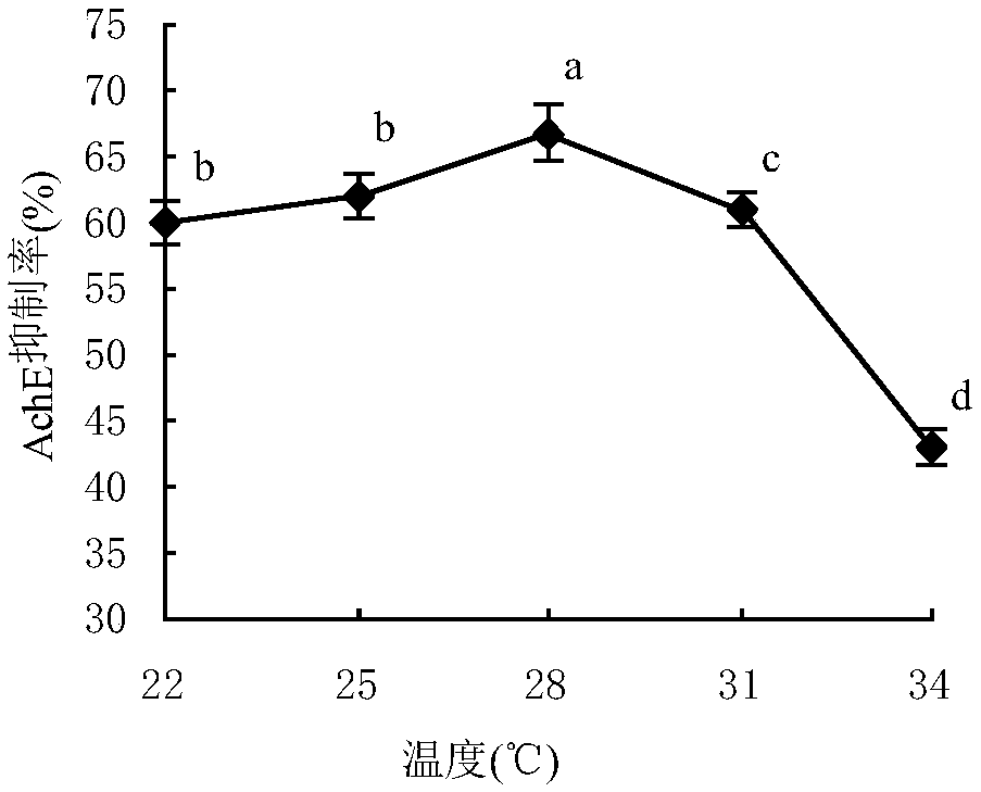 A kelp endophytic fungus and its application in the preparation of biologically active extracts