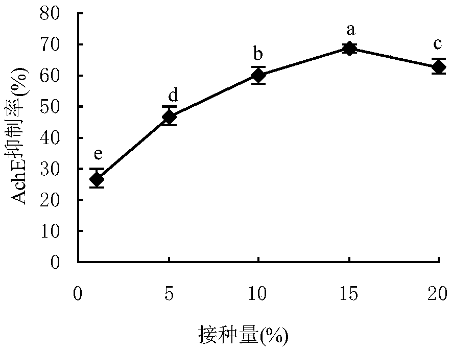 A kelp endophytic fungus and its application in the preparation of biologically active extracts