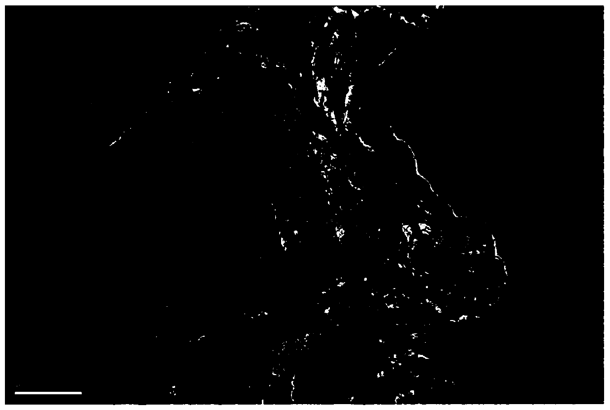 A method for preparing high-performance graphene by a multi-step weak oxidation-reduction method