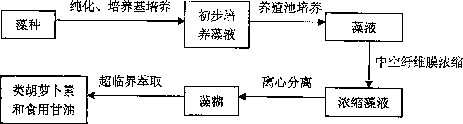 Method of extracting carotenoid and edible glycerol from Dunaliella sallina