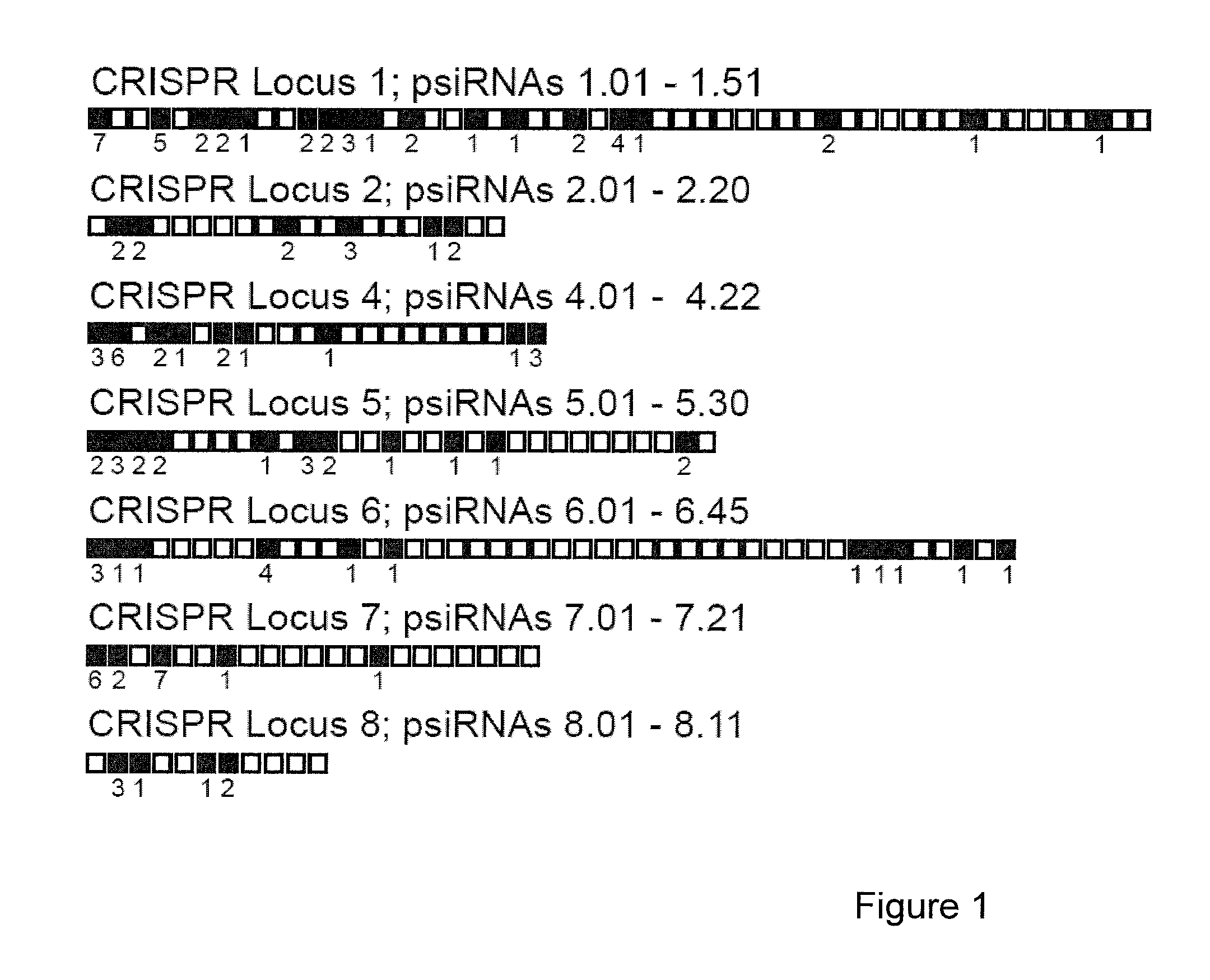 Prokaryotic RNAi-like system and methods of use