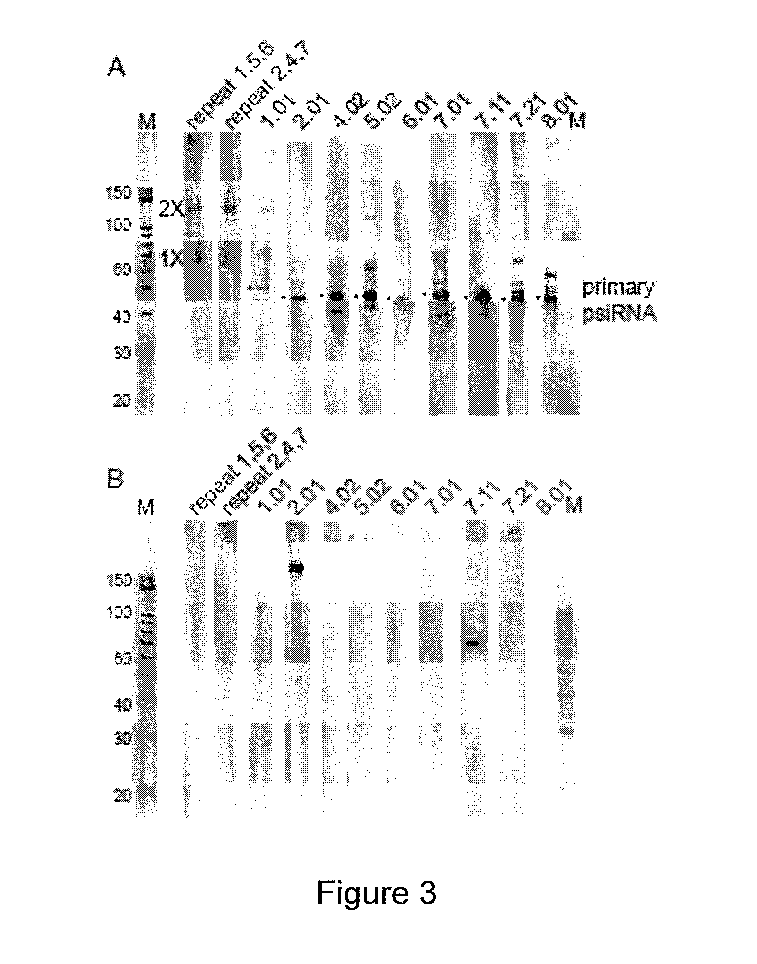 Prokaryotic RNAi-like system and methods of use