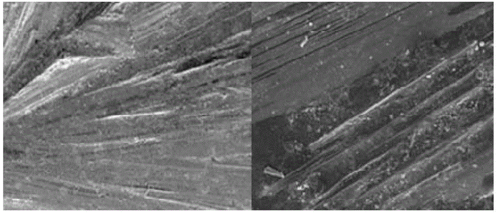 Glaze composition prepared from manganese tungstate as active material and having photocatalytic function and preparation method of glaze composition