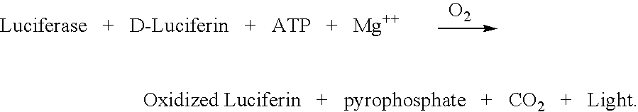 Light-activated in vitro assay process for luciferase bioluminescence