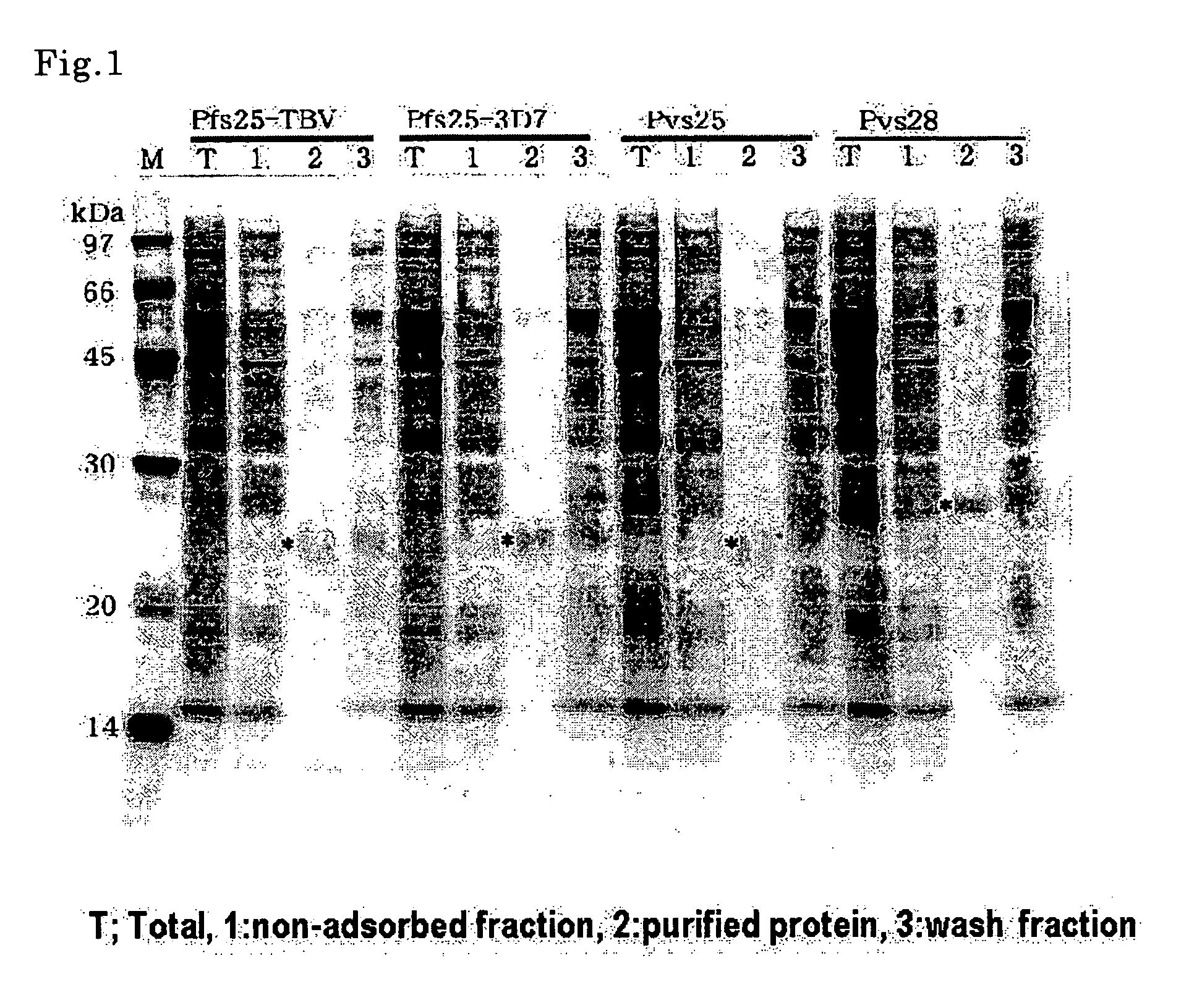 Process for producing antigenic substance