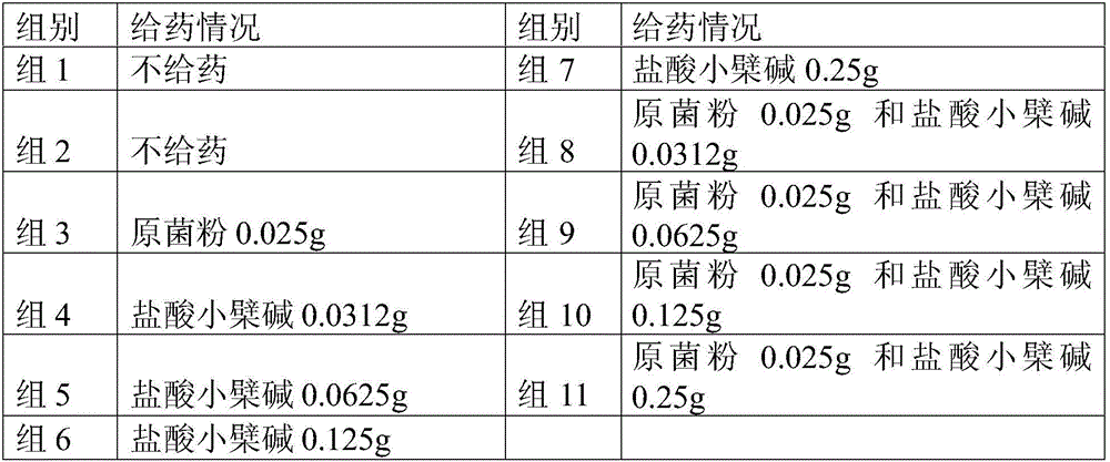 Application of berberine and bacillus licheniformis composition in preparation of drug for preventing or treating diseases caused rotavirus infection