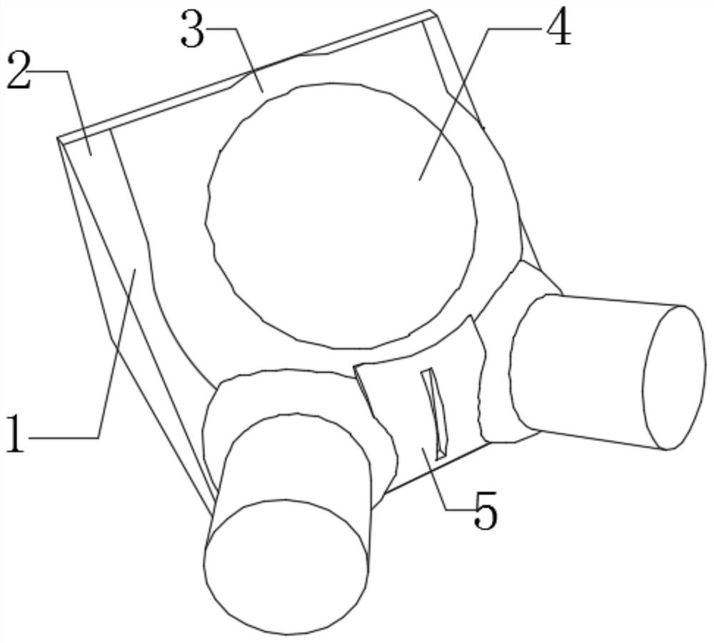 Delivery teaching device for pregnant women