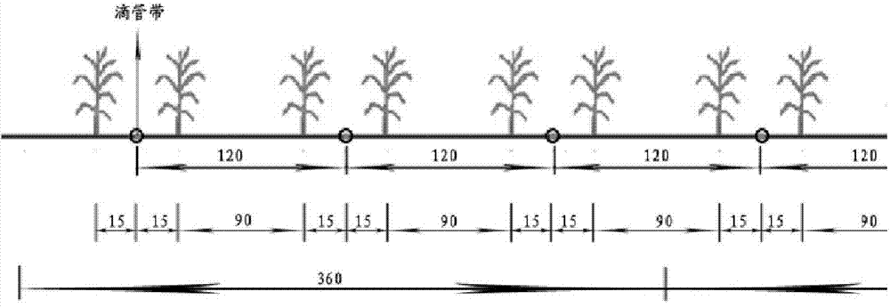 Water and fertilizer management method for water saving and high yield of corn