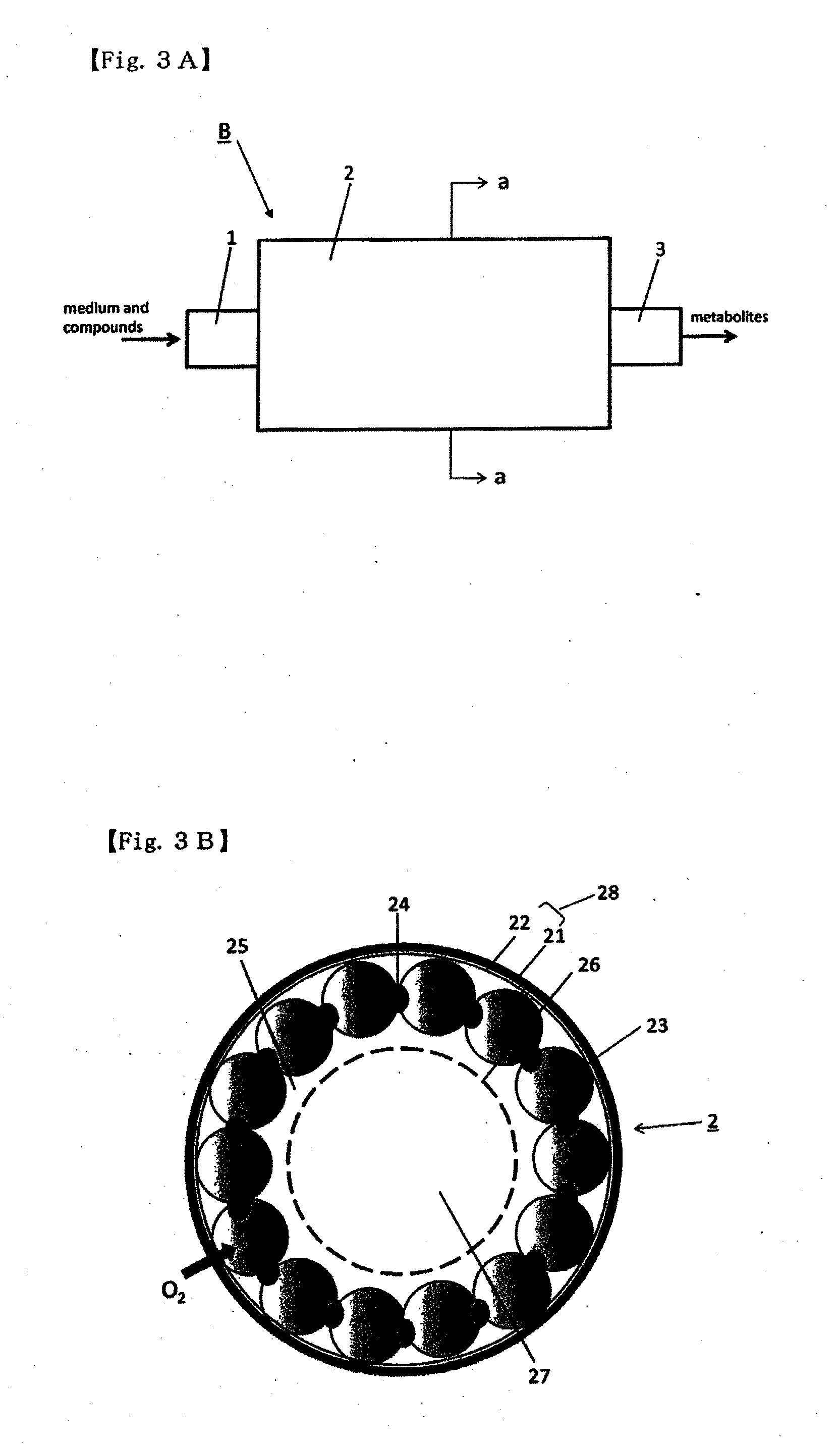 Method for culture of hepatocytes