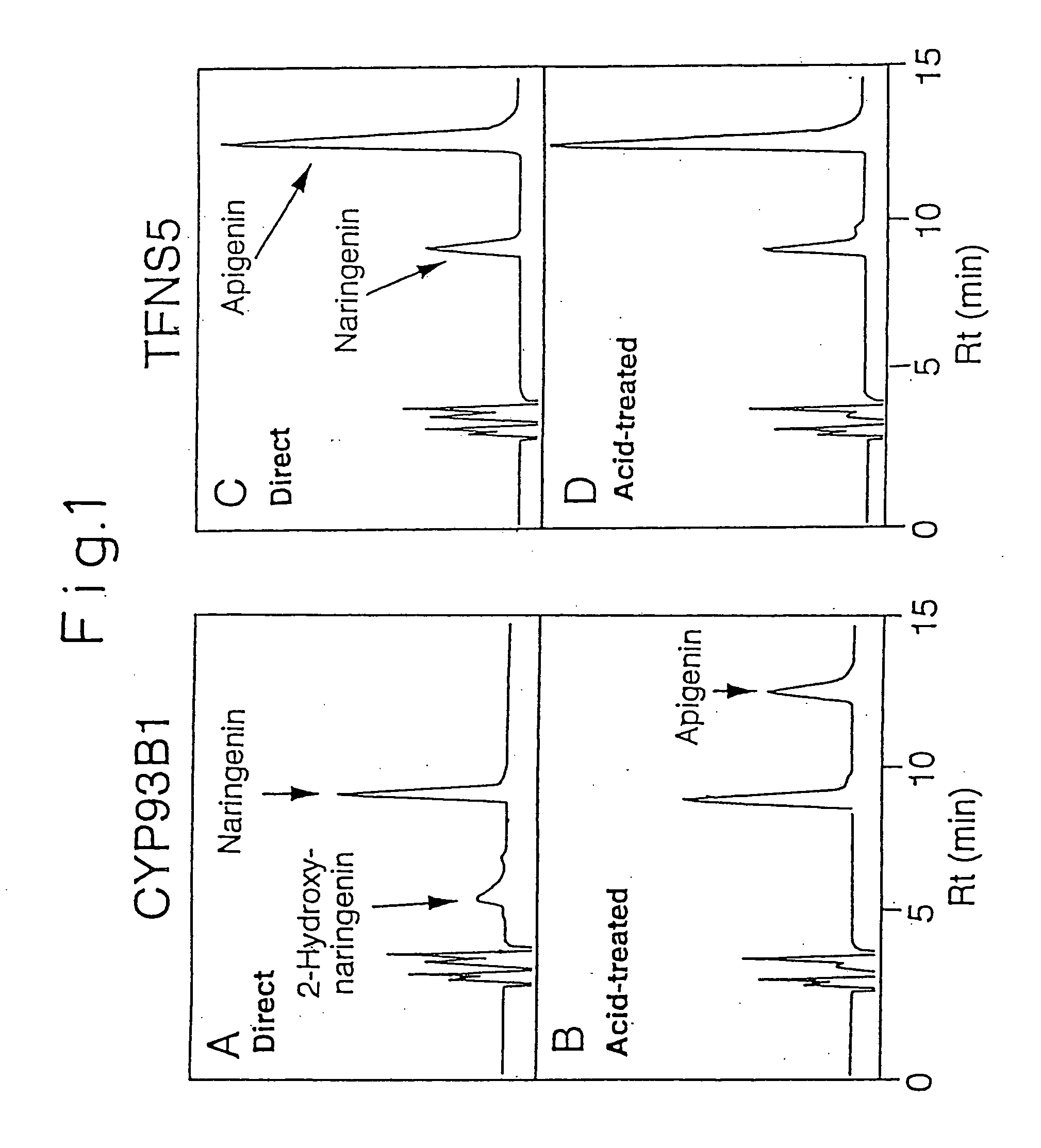 DNAs coding for flavone synthases, methods of using flavone synthase DNAs, and plants, flowers, and vectors containing flavone synthase DNAs