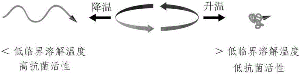 Antibacterial agent activity calling switch based on poly(N-isopropylacrylamide)thermotropic conformation reversible transition