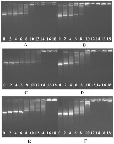 Macrocyclic polyamine compound based on dedpp-2tpa and its preparation method and application