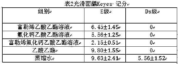 Composition used for tooth protection