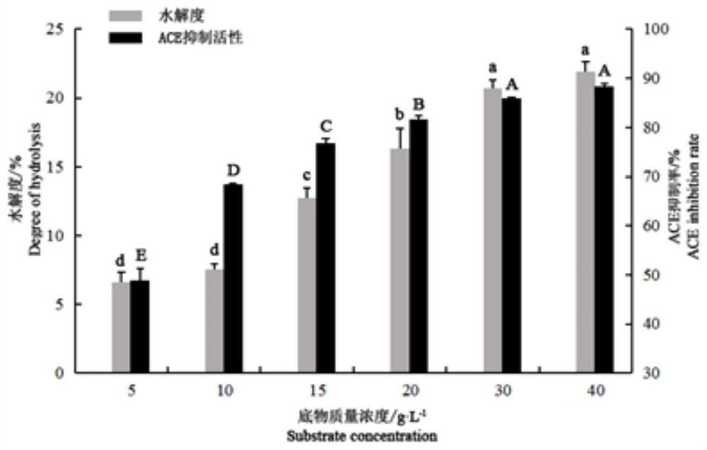 Method for preparing ACE inhibitory peptide by enzymolysis of mulberry leaf protein