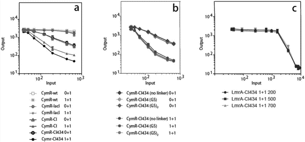 Repressor protein, regulatory element group, gene expression regulation system and construction method thereof