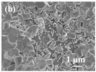 Preparation method and application of ZnO nanowire sensitive material