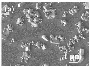 Preparation method and application of ZnO nanowire sensitive material