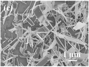 Preparation method and application of ZnO nanowire sensitive material