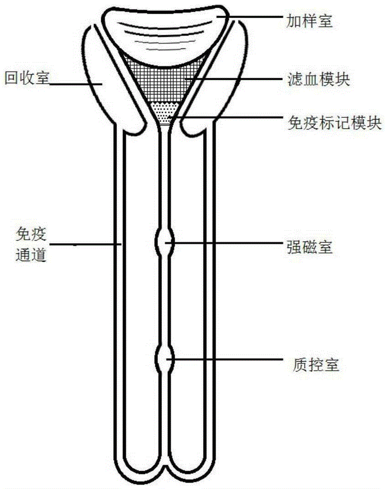 Micro-fluidic chip based on magnetic bead coated antibody and method for capturing cardiac markers