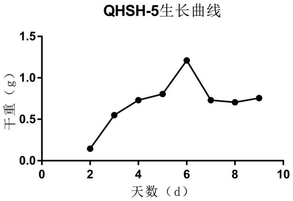 Bacterial strain capable of degrading diuron and application of bacterial strain