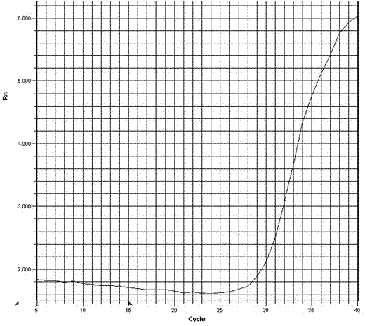 Detection primers and detection method for quaternary ammonium compound agent (QacA) gene carrying condition in methicillin-resistant staphylococcus aureus (MRSA)