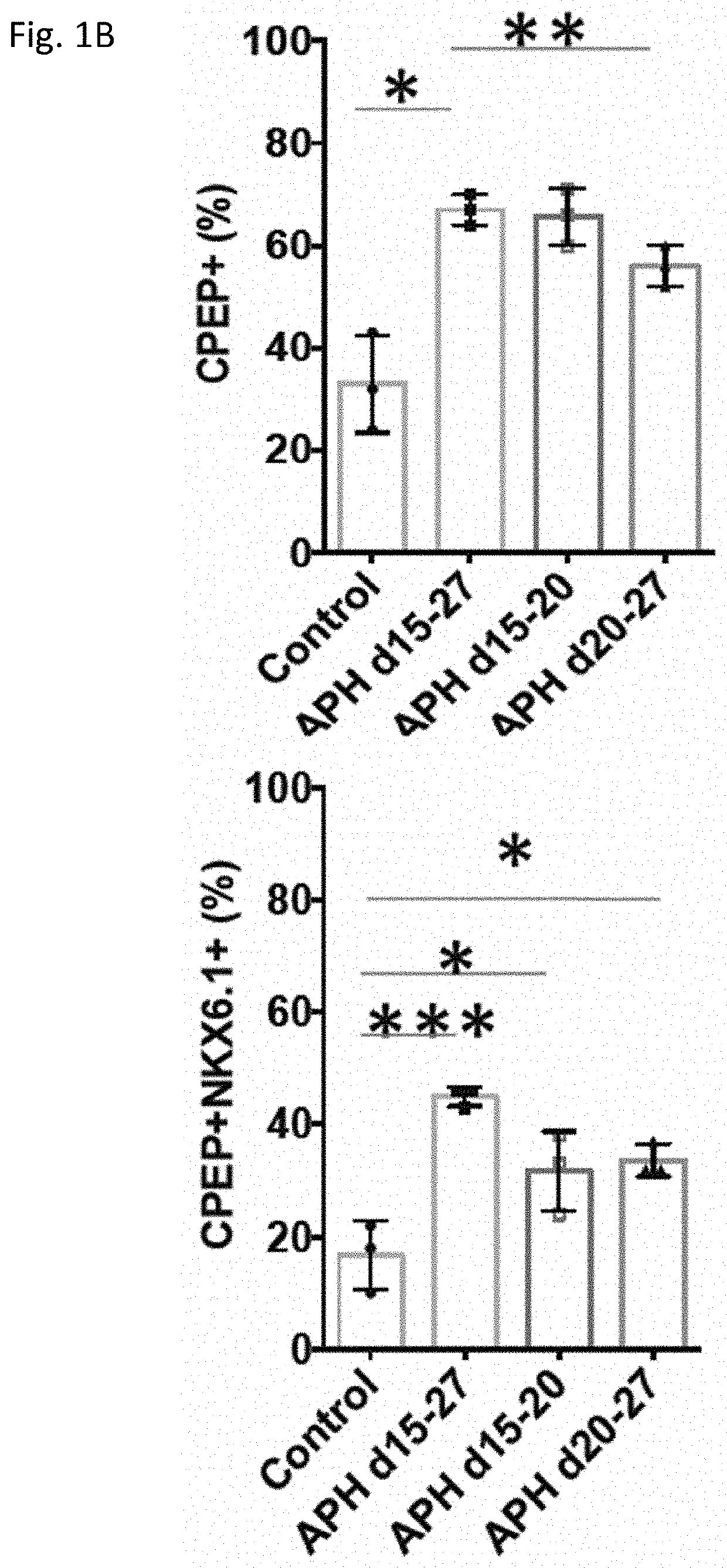 Methods to induce terminal differentiation in stem cells by interfering with DNA replication, methods of inducing pancreatic differentiation, and differentiated cells obtained thereof