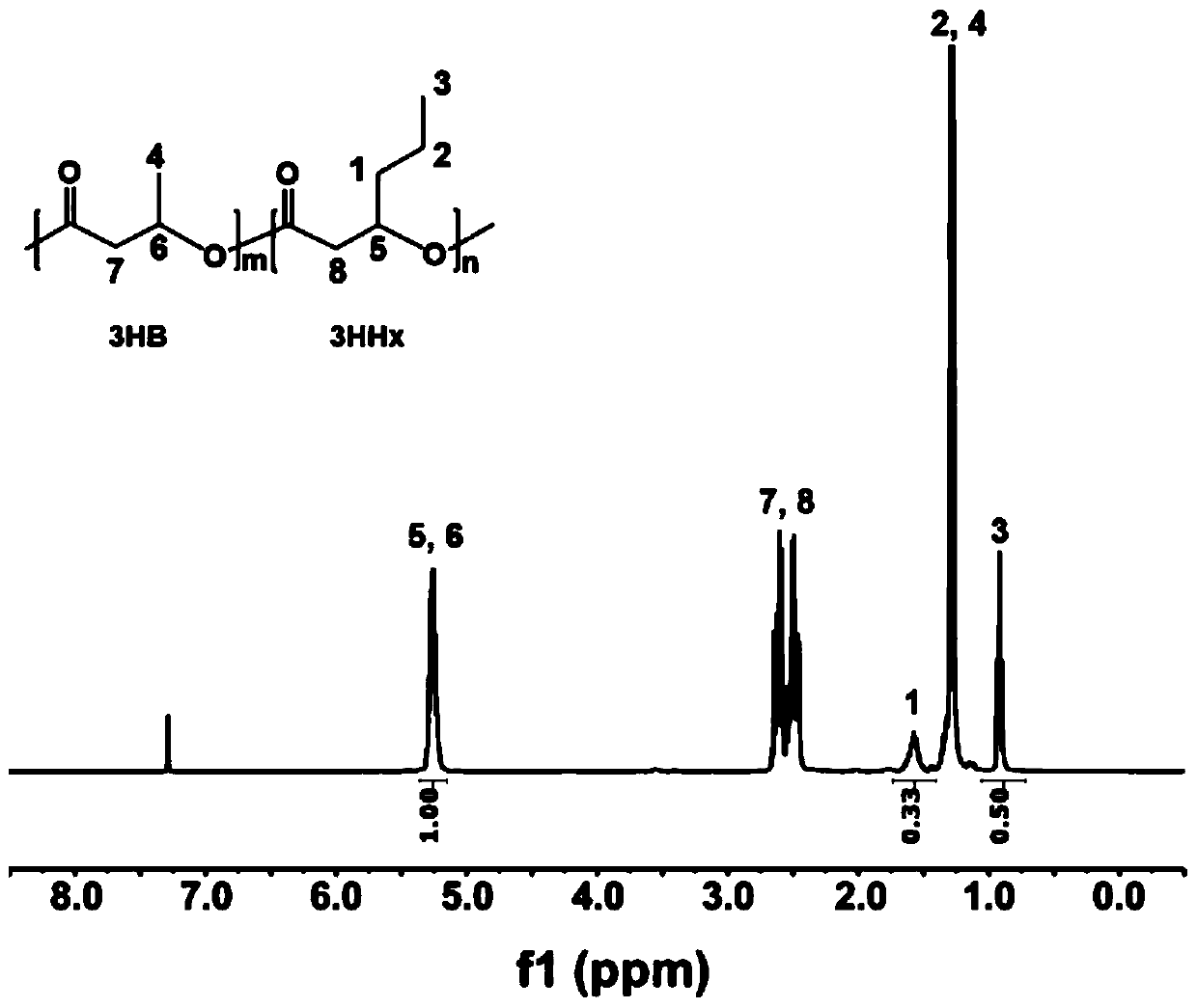 Method for producing short-and-medium-chain-length polyhydroxyalkanoate (PHA) and functional derivatives thereof