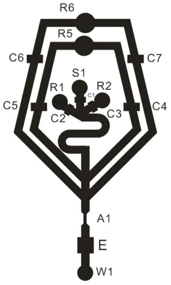 A chip type blood cell analysis device and method