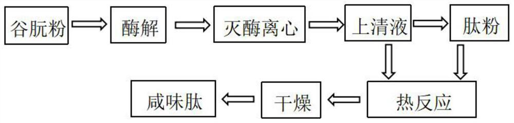 Simple and efficient method for preparing salty peptide from wheat protein