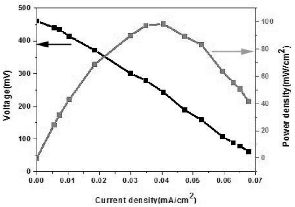 A kind of microbiological fuel cell and preparation method thereof