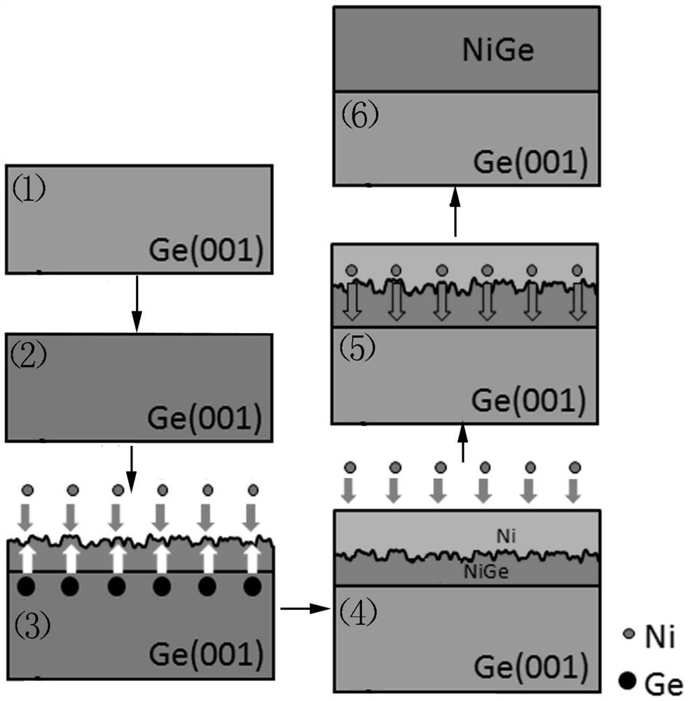 Nige single crystal film with unlimited thickness and its preparation method and application